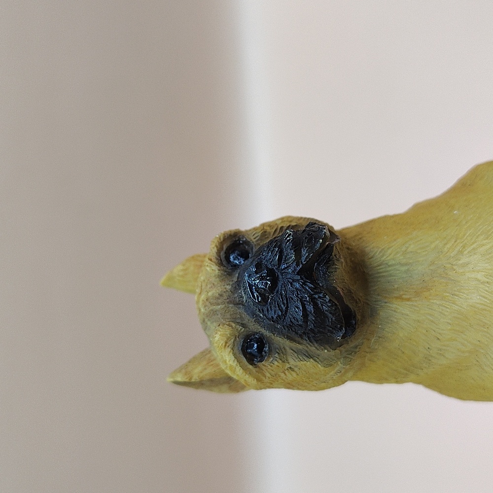 Resin Sitting Dog Figurine 5 Inches - Picture 5 of 5